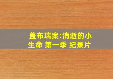 盖布瑞案:消逝的小生命 第一季 纪录片